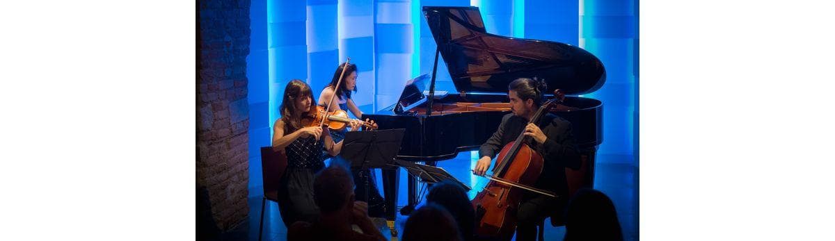 Wiener Ensemble : Concerts à la Mozarthaus de Vienne · Maison Mozart à Vienne